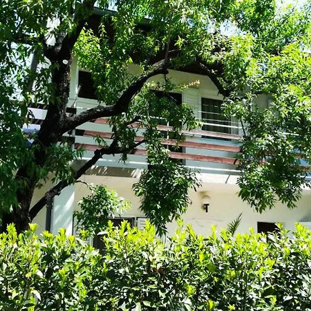 Felix Apartment Biograd Biograd Na Moru Exterior photo
