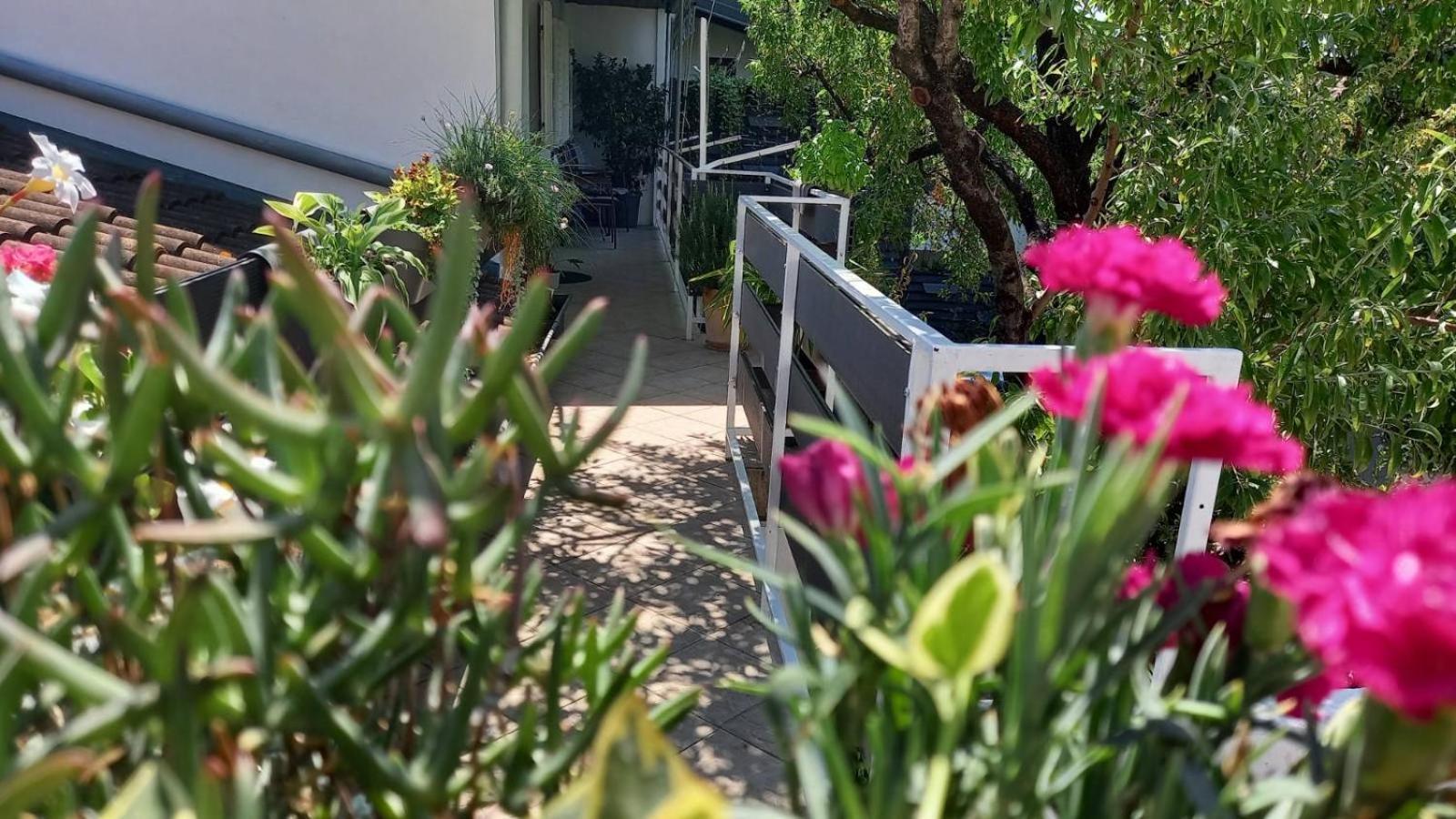 Felix Apartment Biograd Biograd Na Moru Exterior photo